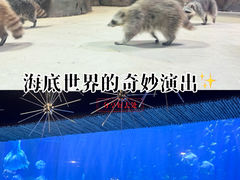 -华夏文旅西安度假区