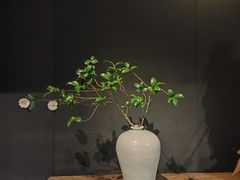 -今日陶艺(富力广场店)