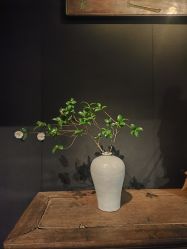 -今日陶艺(富力广场店)