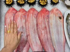 -双合园·海鲜水饺青岛菜(九水东路店)