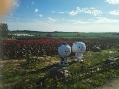 -北纬44度·金珠花海休闲农业旅游景区