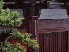 -云顶寺