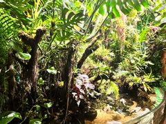 -太平洋海底世界