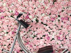 -UltraForce超源健身私教工作室(长楹天街精品店)