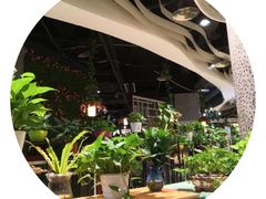 -舌尖上的食缘花园主题餐厅