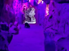 -重庆际华园室内极限运动中心