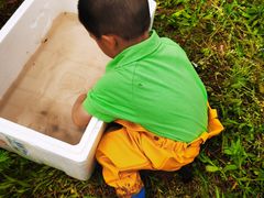 -宾果蒙特梭利托育儿童之家幼儿园(爱琴海店)