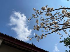 -樱桃山旅游景区