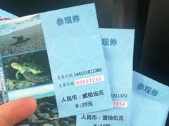 -广东惠东海龟国家级自然保护区