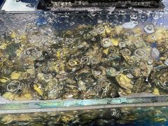 -亚马逊海鲜自助(梅溪湖步步高店)