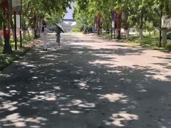 -御林古桑园