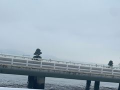 -演武大桥观景平台