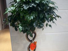 -德艺康筋膜康复中心·艾灸·推拿·抗衰