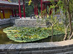-华清宫景区
