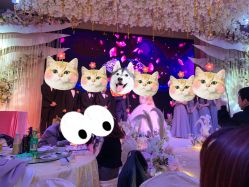-Alice Nine婚礼艺术空间(总店)