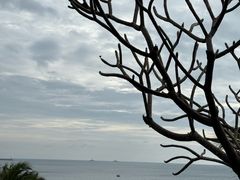-日落吧·海景咖啡厅·餐酒吧·鸡尾酒·下午茶·乐队表演·浪漫夕阳·三亚文华东方酒店