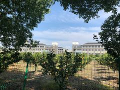 -上海海洋大学(临港校区)