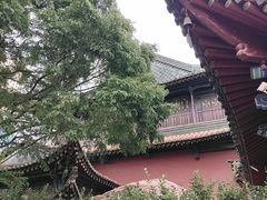 -真庆观