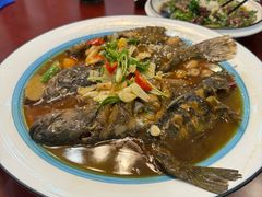 -呼吸森林·生态农庄农家乐私房菜