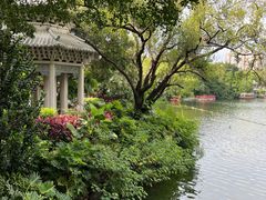 -荔湾湖公园