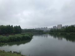 -滨湖塘西河公园