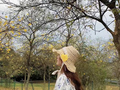-松山湖南湖湾露营营地