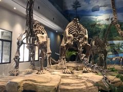 -自贡恐龙博物馆