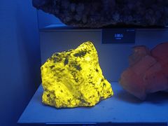 -湖南省地质博物馆