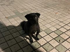 -同济大学(嘉定校区)