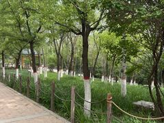 -青藏高原野生动物园