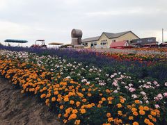 -富田农场