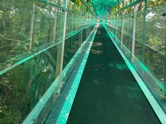 -沕沕水生态风景区