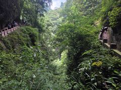 -青城山