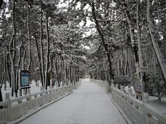 -林海公园