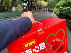 -金鸡山公园