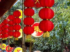 -大东北(武侯祠店)