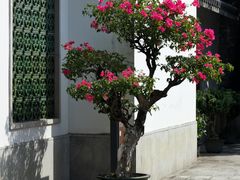 -广州神农草堂中医药博物馆