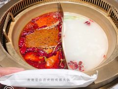 鸳鸯锅-麻路成都火锅(柏威年店)