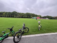 -昆山城市生态森林公园