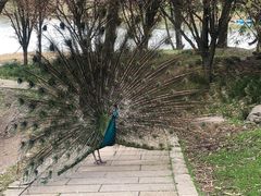 -宁波杭州湾国家湿地公园