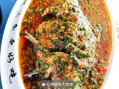 -鲜塘宴·千岛湖大鲫鱼(南湖店)