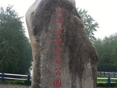 -合肥滨湖国家森林公园