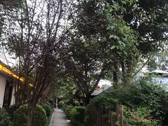 -马帮寨绿地农庄店