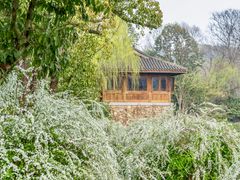-中国茶叶博物馆(双峰馆区)