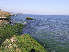-盐洲岛