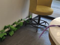-张阿姨奶茶(湖西路店)