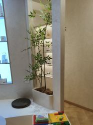 -S庆熙美学皮肤管理
