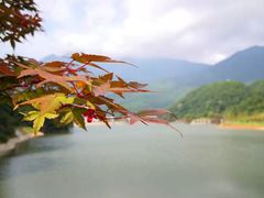 -梁野山景区