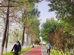 -艾溪湖湿地公园