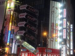 -秋叶原电器街